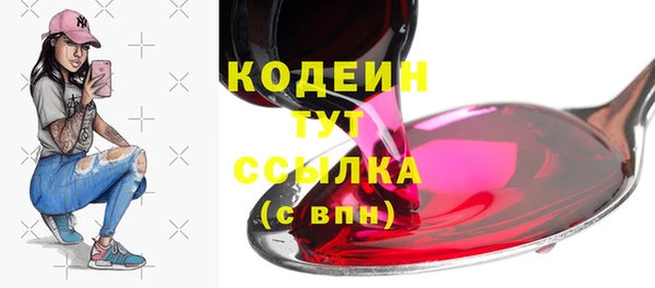 крисы Абаза