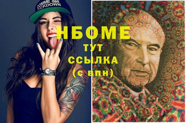 шишки Алексин