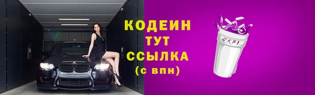 крисы Абаза