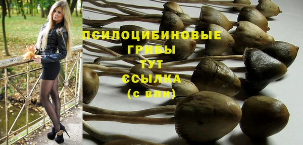 крисы Абаза