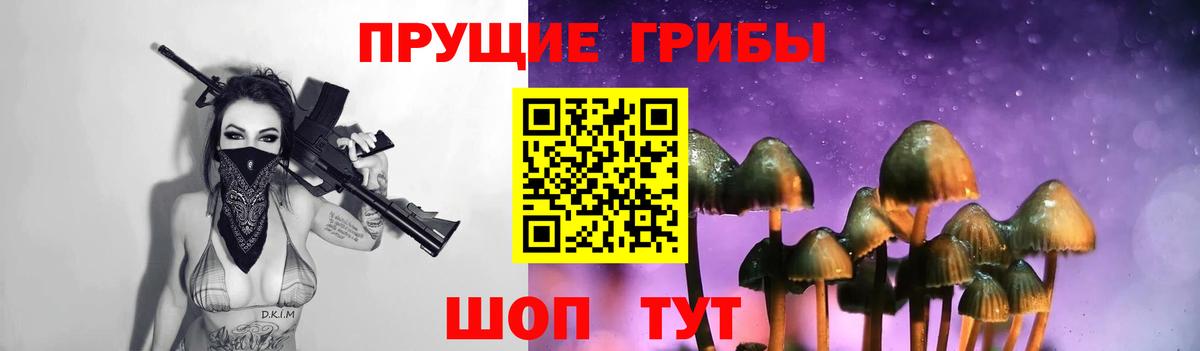 Богородицк  Псилоцибиновые грибы Magic Shrooms  Вход с VPN 